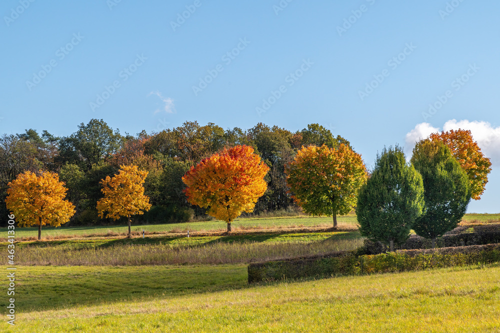 Laubfärbung im Herbst Laubfärbung im Herbst