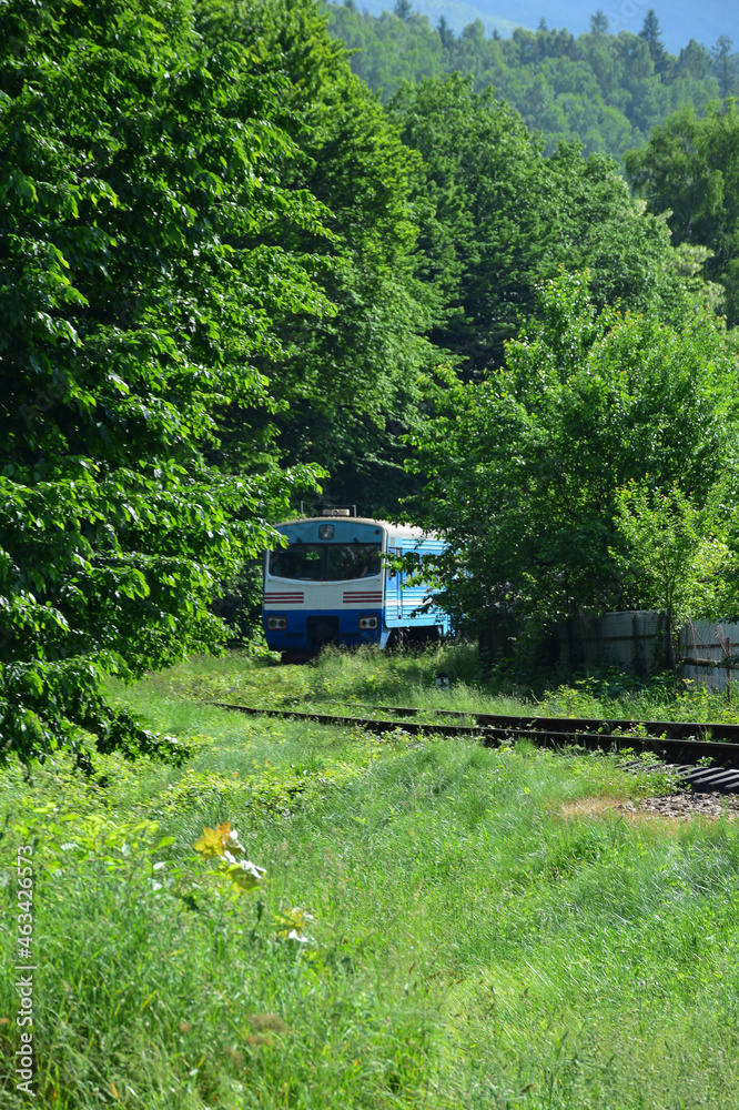 The electric train leaves from afar from behind the trees to the railway station The electric train leaves from afar from behind the trees to the railway station