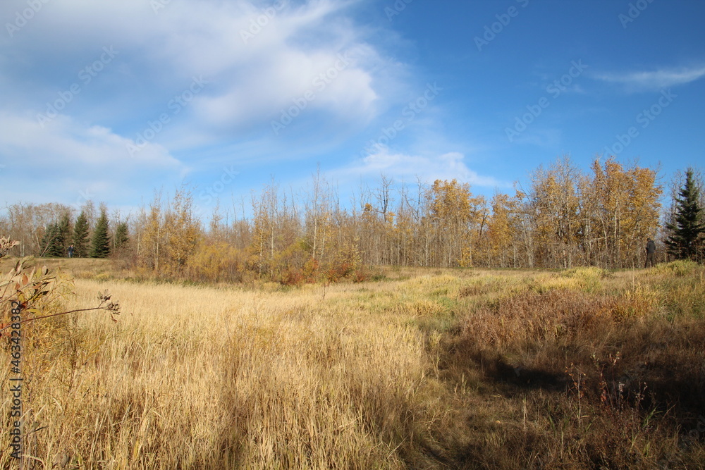 Warm October On The Land, Pylypow Wetlands, Edmonton, Alberta Warm October On The Land, Pylypow Wetlands, Edmonton, Alberta