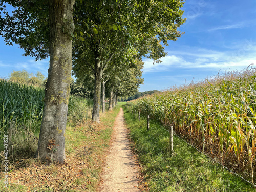 Gravel path around Geesteren photo