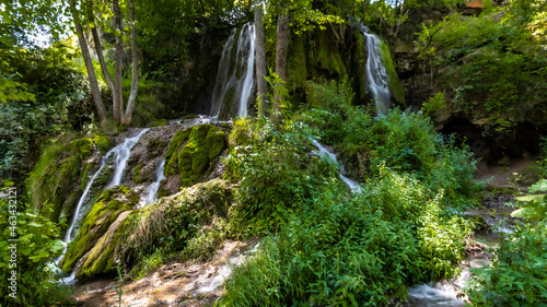 waterfall in the forest