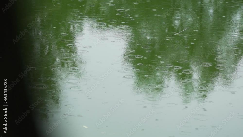 It's raining. Wet. Raindrops fall from the cloudy gray sky to the ground. A puddle formed on the ground in which the tops of the trees are mirrored. Flood. It's raining. Wet. Raindrops fall from the cloudy gray sky to the ground. A puddle formed on the ground in which the tops of the trees are mirrored. Flood.
