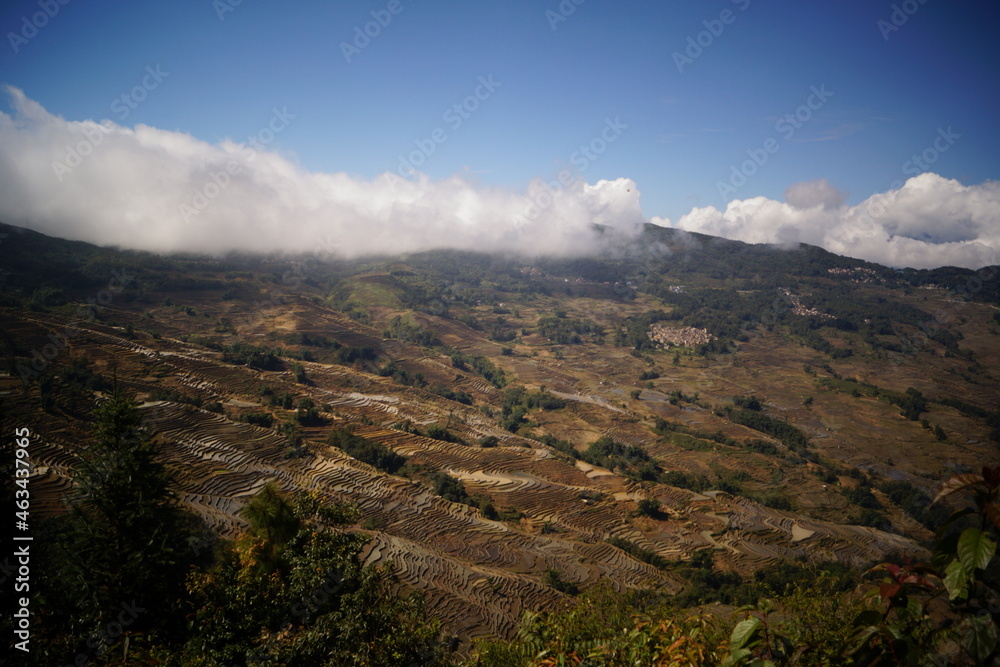 Fototapeta premium 雲南省・元陽 多依樹 紅河ハニ族棚田群