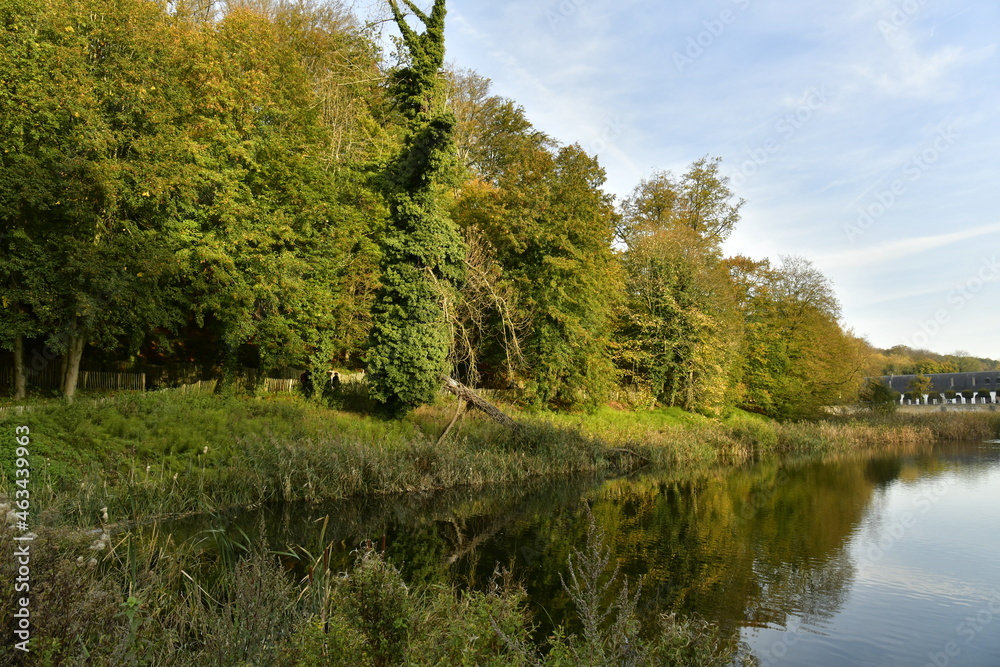 La forêt de Soignes en automne en fin de journée sur le site de l'abbaye du Rouge-Cloître à Auderghem 