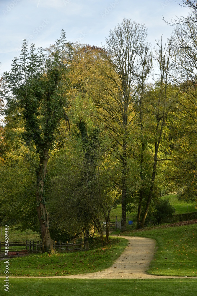 Naklejka premium L'arbre à la cime dorée au dessus d'un chemin au parc Tournay Solvay à Watermael-Boitsfort