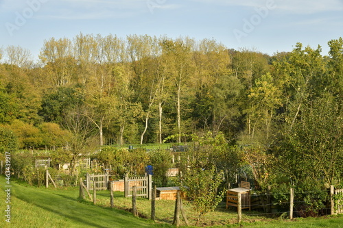 Le potager collectif de l'abbaye du Rouge-Cloître à la lisière de la forêt de Soignes en automne à Auderghem