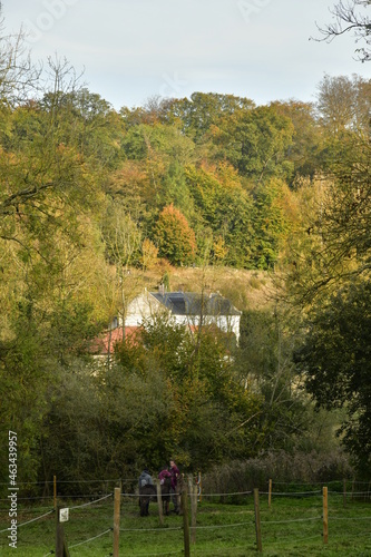 Partie des bâtiments historiques de l'abbaye du Rouge Cloître émergeant de la végétation luxuriante de la forêt de Soignes en automne à Auderghem photo