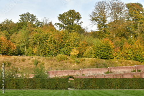 Les couleurs de l'automne de la forêt de Soignes derrière le mur d'enceinte de l'abbaye du Rouge-Cloître à Auderghem photo