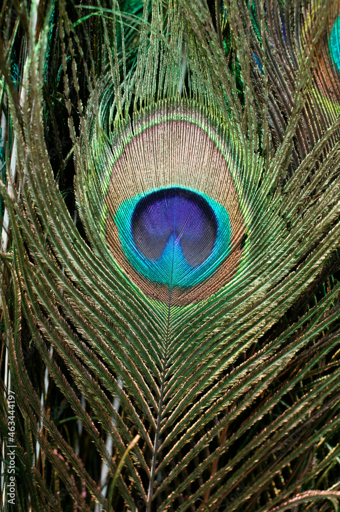 Obraz premium China. Daily life.