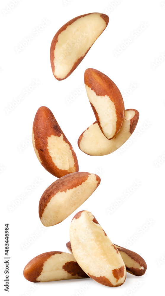 Brazil nuts are falling on a white background. Isolated Brazil nuts are falling on a white background. Isolated