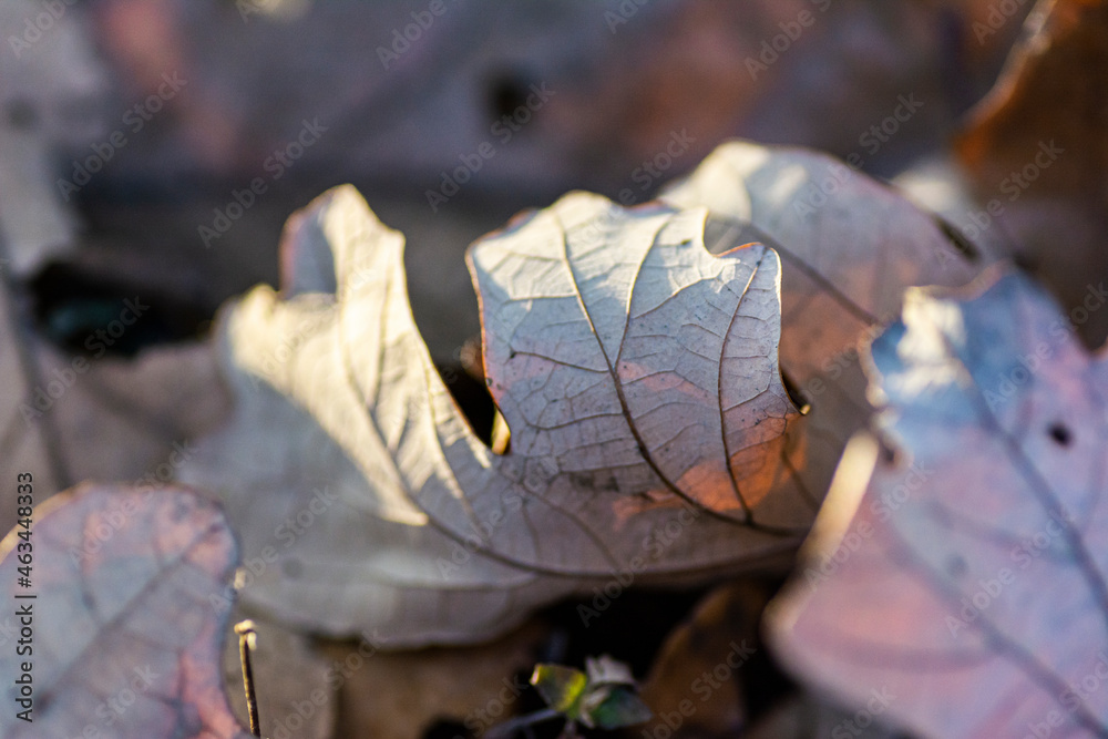Landscapes of Texas Hill Country in the fall, autumn, season changing, outdoors, river, camping Landscapes of Texas Hill Country in the fall, autumn, season changing, outdoors, river, camping