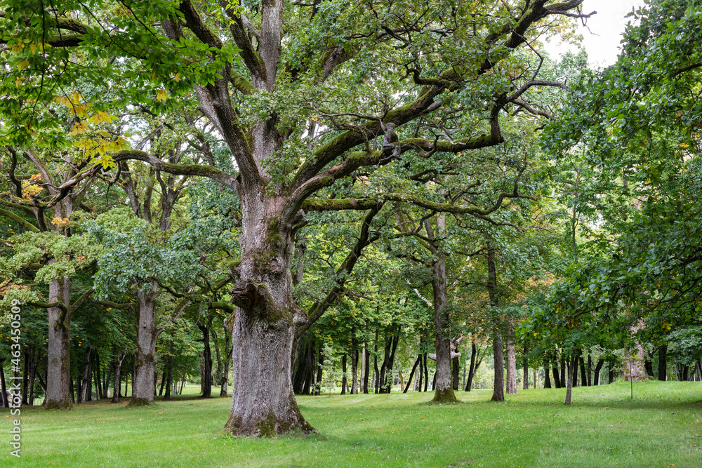 Park of Plunge Manor or Oginski residential manor, Lithuania Park of Plunge Manor or Oginski residential manor, Lithuania