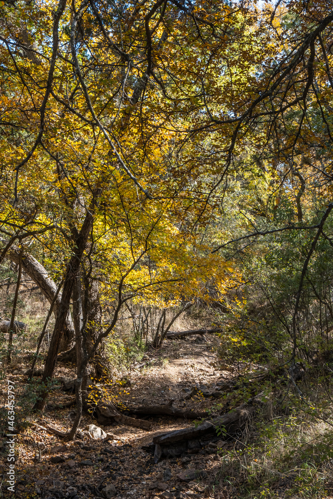 Landscapes of Texas Hill Country in the fall, autumn, season changing, outdoors, river, camping