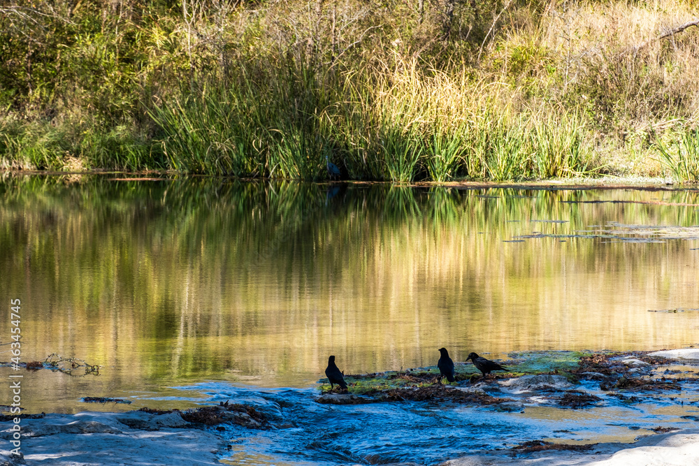 Landscapes of Texas Hill Country in the fall, autumn, season changing, outdoors, river, camping Landscapes of Texas Hill Country in the fall, autumn, season changing, outdoors, river, camping
