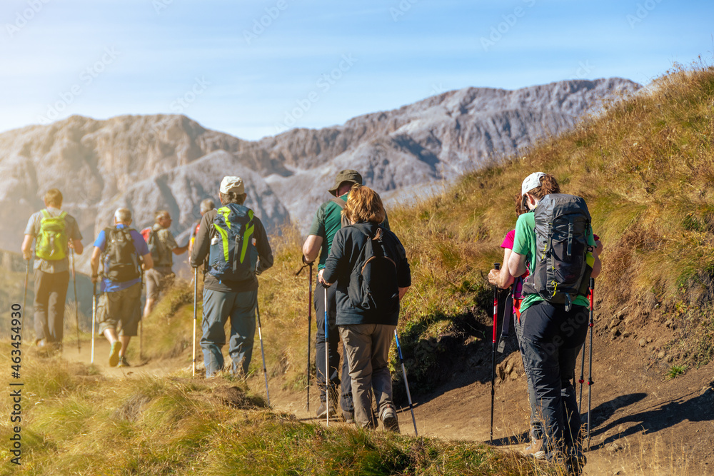 Group of hikers of different ages and gender with trekking poles and backpack hiking on a trail through green meadows in the Italian Alps. Sassopiatto - Col Rodella. South Tyrol, Italy