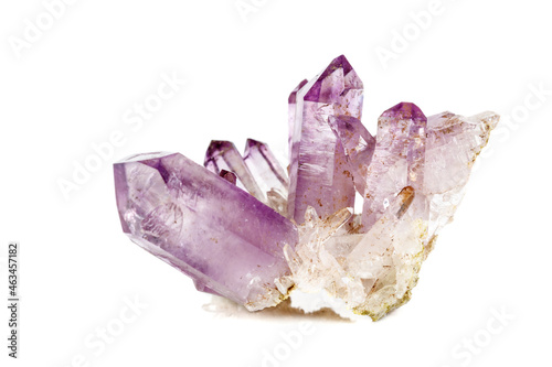 Obraz na plátně Amethyst Crystal Druse  macro mineral on white background
