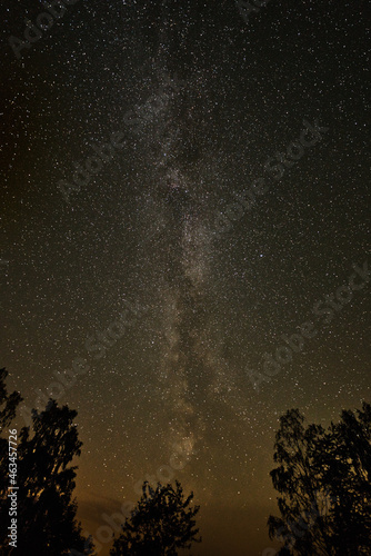 Milky Way with trees in the foreground. Dark night in Sweden