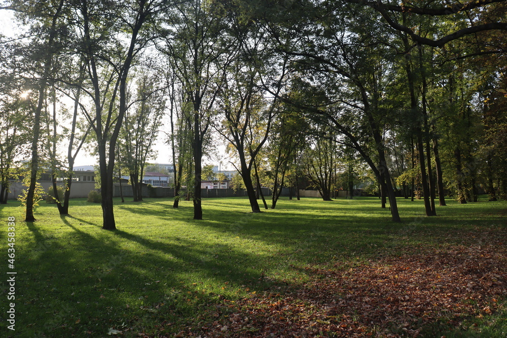 on a warm autumn day, the sun breaks through the crowns of deciduous trees in an old park on a warm autumn day, the sun breaks through the crowns of deciduous trees in an old park