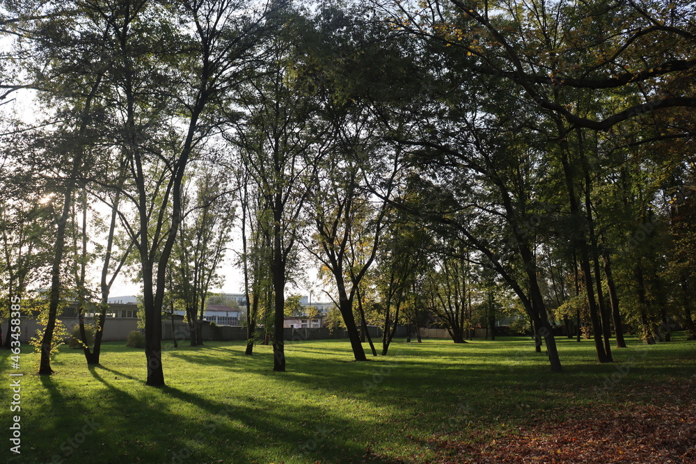 on a warm autumn day, the sun breaks through the crowns of deciduous trees in an old park on a warm autumn day, the sun breaks through the crowns of deciduous trees in an old park
