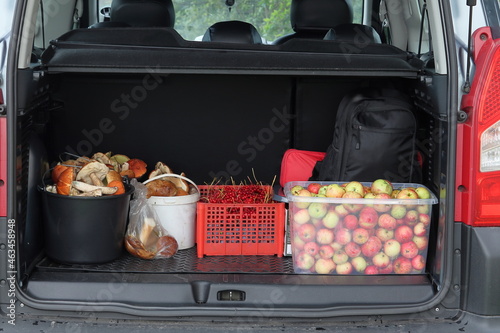 A trunk full of mushrooms and apples in the car. photo