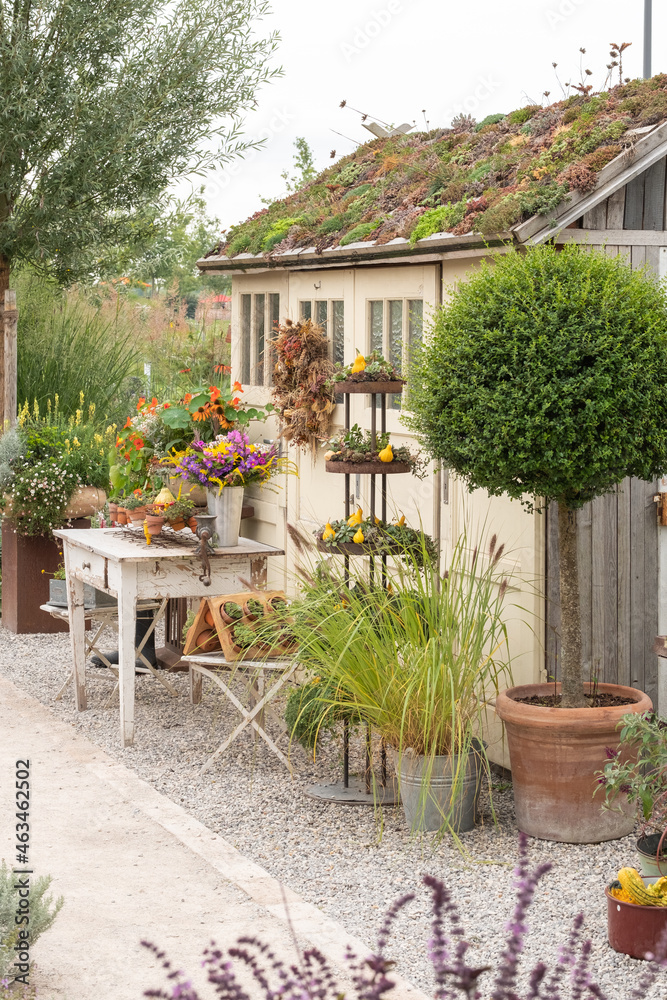 Fototapeta premium Gartenhaus im Vintage Style aus wieder verwendeten Materialien auf einer Gartenschau