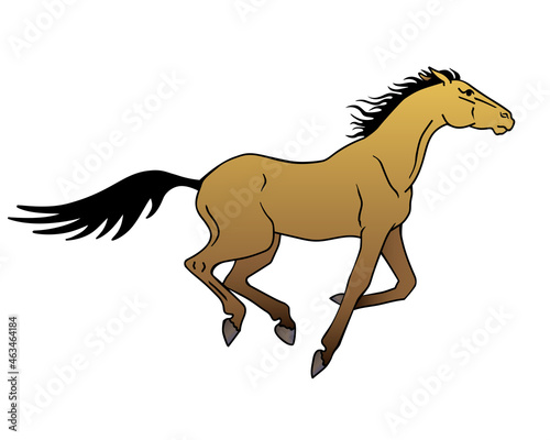 Horse. A galloping Akhal-Teke horse of a dun suit - vector full color illustration.