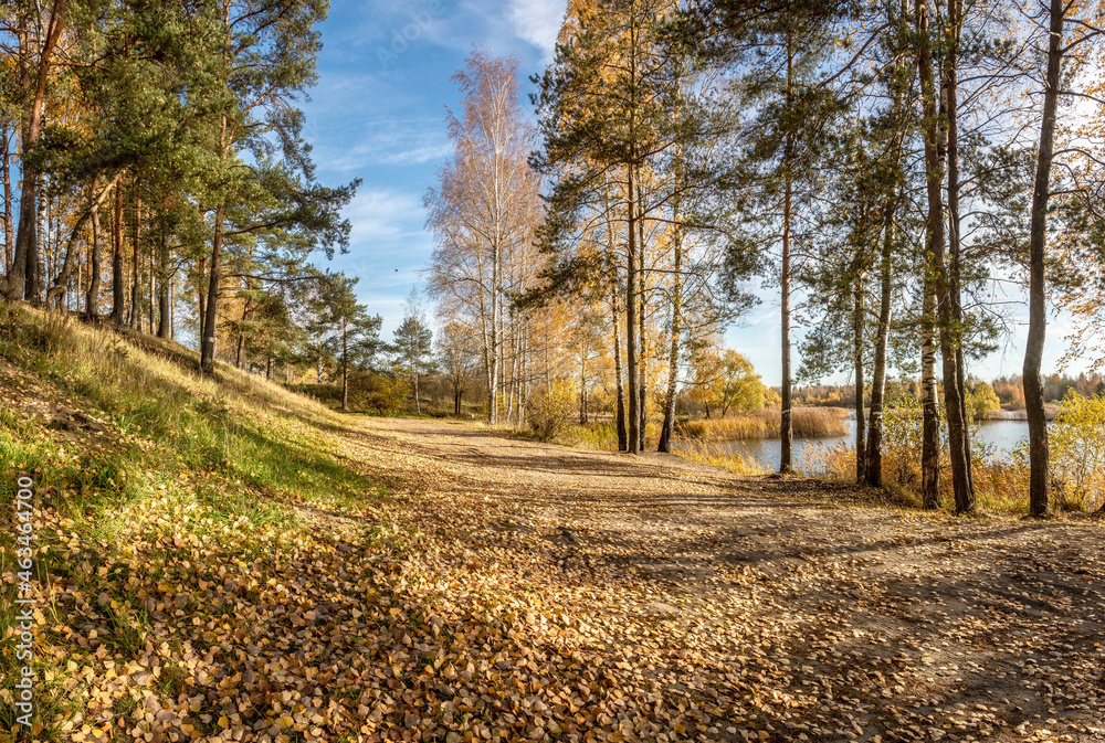 Bright sunny autumn day by the lake. Bright sunny autumn day by the lake.