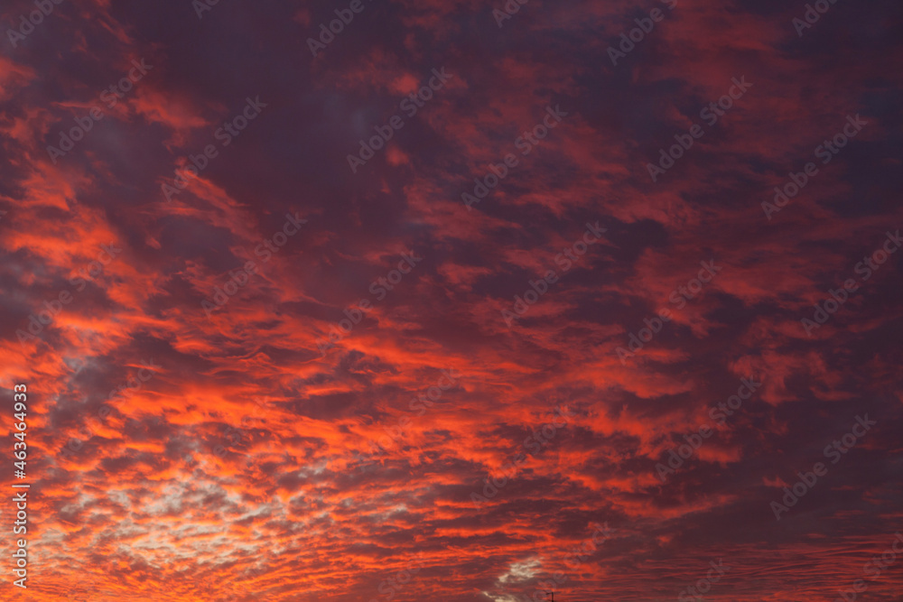 Fototapeta premium beautiful colorful pink, blue and orange sky at sunset