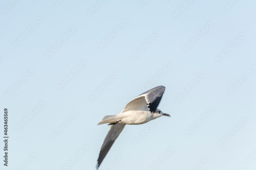 Fototapeta premium Autumn in Texas Gulf Coast - beach, sand, sea