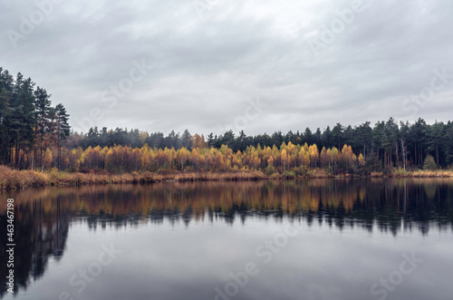 Beautiful landscape view to the lake in the forest with bright orange and  yellow trees  reflected in a water at rainy autumn day