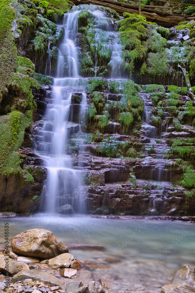 Obraz premium waterfall in the forest
