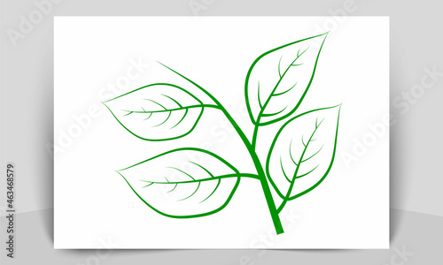 Gteen Leaf ecology nature element vector design photo