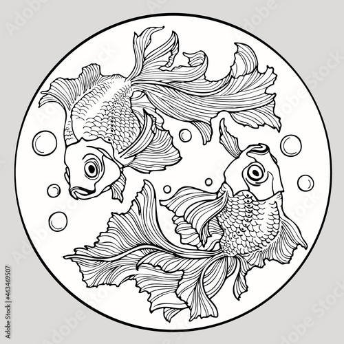 two goldfish are spinning in a circle. vector sketch.