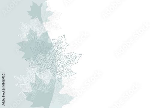 A soft teal leaves background with copyspace
