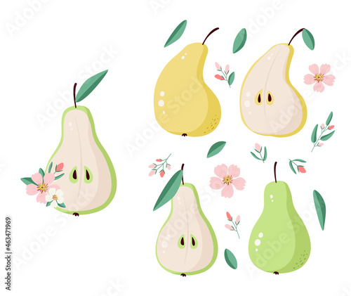 Set of vector fruits - pears and twigs with buds. Sweet summer food, green and yellow pears. Vitamins, fruits are drawn in flat style. Fruit in a cut, a slice of pear with seeds and flowering.
