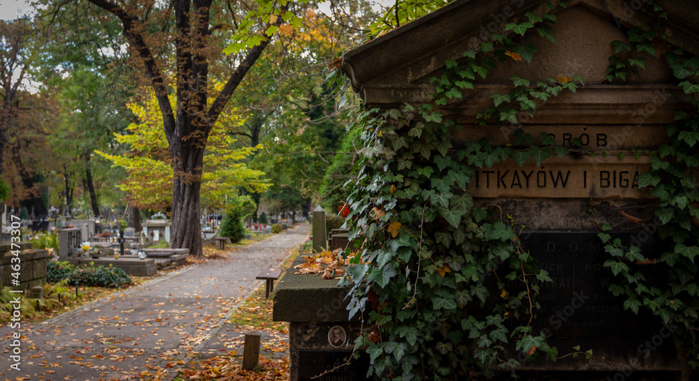 Zabytkowy cmentarz Rakowice w Krakowie