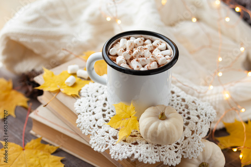 Autumn composition with hot chocolate with marshmallow. Aromatherapy on a grey fall morning, atmosphere of cosiness and relax. Wooden background, window sill, close up