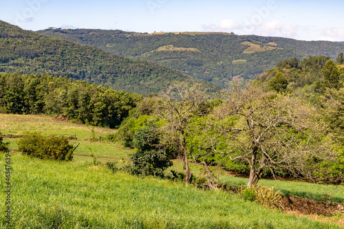 Farm field with forest on the mountains