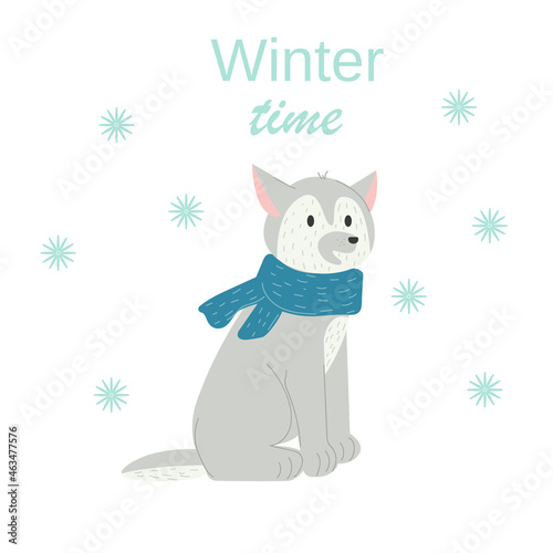 Dog. Christmas cute winter wolf in new year scarve and hat. Northern animal. cartoon cute character. Stock vector illustration on a white background.