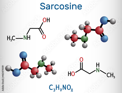 Sarcosine, N-methylglycine, N-alkylglycine molecule. It is amino acid derivative, conjugate acid of sarcosinate. Structural chemical formula and molecule model