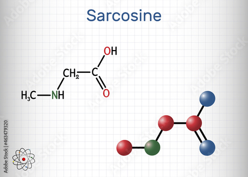 Sarcosine, N-methylglycine, N-alkylglycine molecule. It is amino acid derivative, conjugate acid of sarcosinate. Structural chemical formula and molecule model. Sheet of paper in a cage