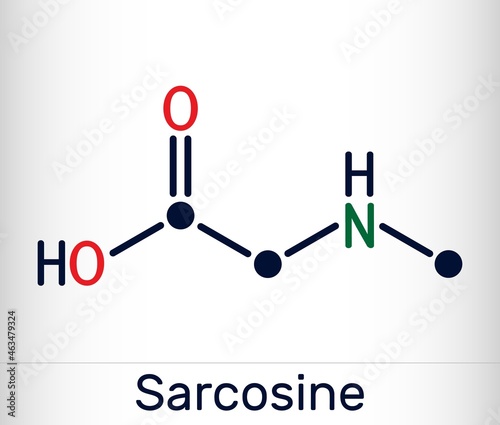 Sarcosine, N-methylglycine, N-alkylglycine molecule. It is amino acid derivative, conjugate acid of sarcosinate. Skeletal chemical formula. Vector illustration