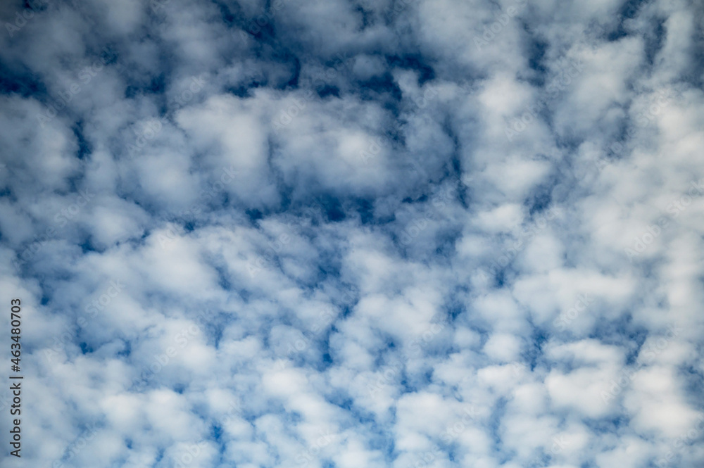 Obraz premium beautiful blue sky background with fluffy clouds in clear autumn day