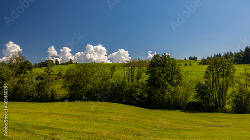 Landschaft im Allgäuer Land