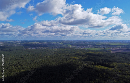 Top view of beautiful green coniferous forest with fir trees and pines