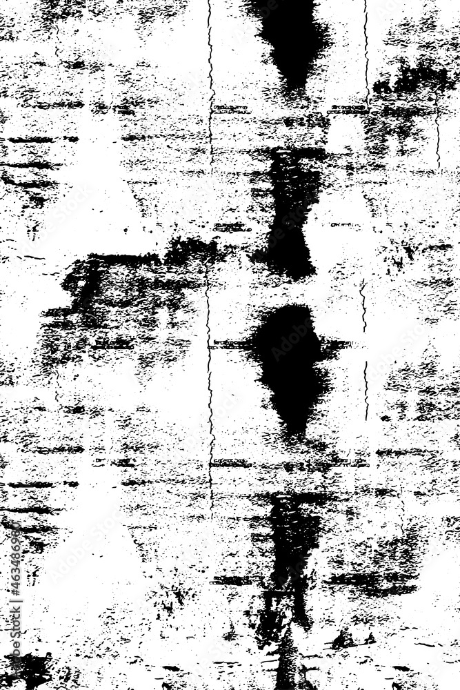 The grunge texture is black and white. Vector monochrome background The grunge texture is black and white. Vector monochrome background