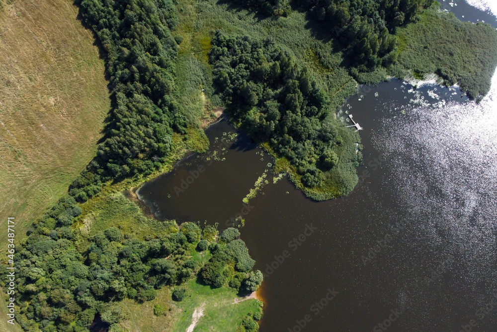 Aerial view of summer landscape with river and forest