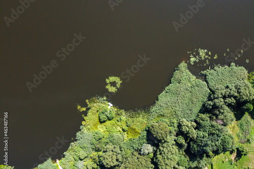 Aerial view of summer landscape with river and forest