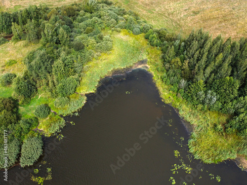 Aerial view of summer landscape with river and forest © mikeosphoto