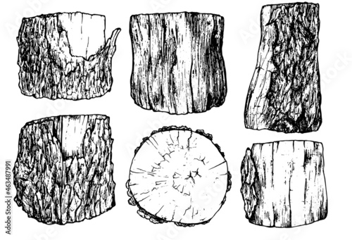 a set of stumps in the sketch style. Black outline of isolated wooden parts, elements hand-drawn cross-sawn tree trunk with bark texture, side and top view on a white background for your design templa